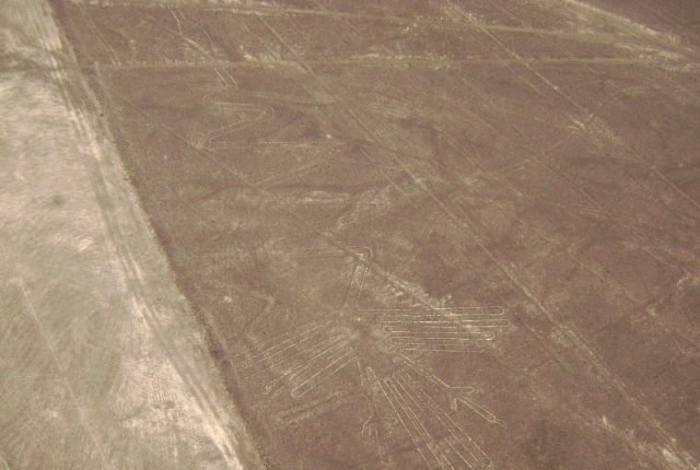 Nazca Linien Alcatras