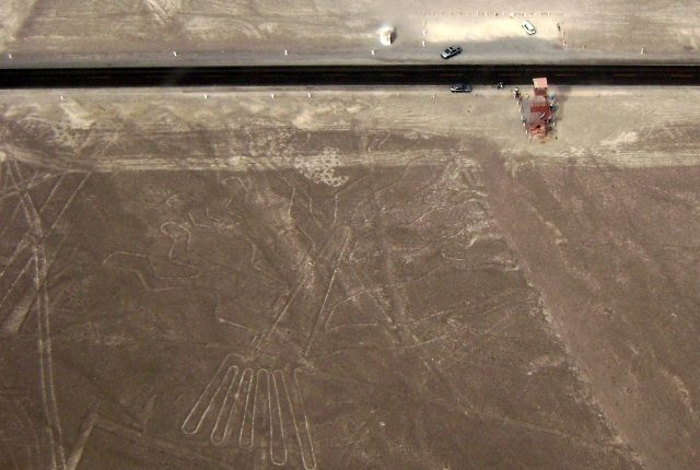 Nazca Linien Baum