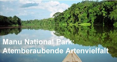 Manu National Park: Atemberaubende Artenvielfalt im Regenwald