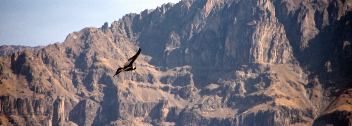 Der Cañón del Colca – der Colca Canyon