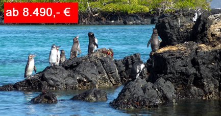 Abwechslungsreiche Südamerika-Reise: Von Galápagos nach Machu Picchu