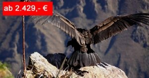 Peru – Reise durch das Land des Kondors