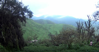 Der Nationalpark Lomas de Lachay