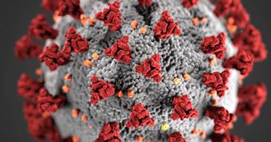 Coronavirus in Peru – 3700 deutsche Urlauber betroffen