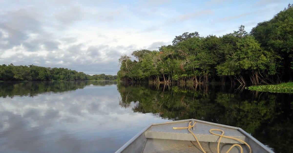 Amazonas