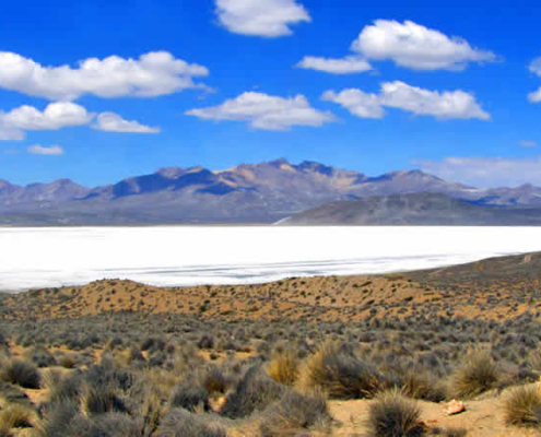 Laguna de Salinas – Naturwunder nahe Arequipa