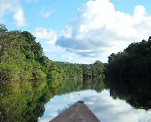 Pacaya Samiria Nationalreservat: Das größte Naturparadies im peruanischen Amazonas