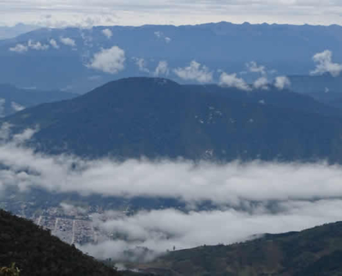 Nationalpark Yanachaga Chemillén – Einzigartige Naturvielfalt in Peru entdecken