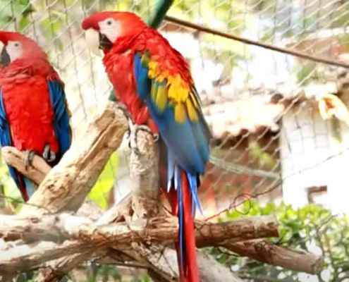 Der “La Totorilla” Zoo in Ayacucho