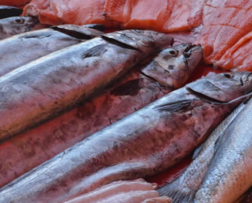 Fisch in Peru: Vom Pazifik bis zu den Flüssen der Anden