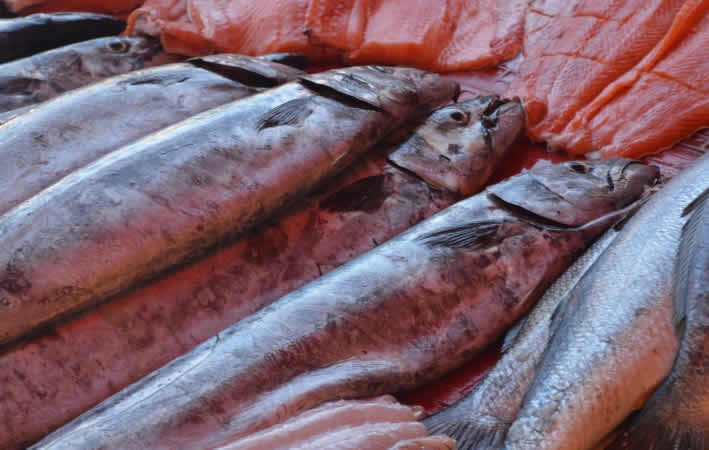 Fisch in Peru: Vom Pazifik bis zu den Flüssen der Anden