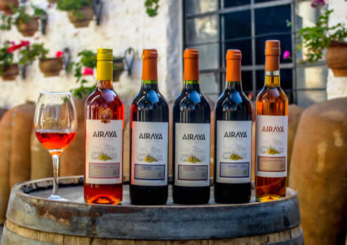 Bodega Santa María – Tradition & Genuss in Lunahuaná