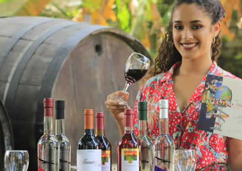 Bodega Viña Los Reyes – Wein- und Pisco-Tradition seit 1896 im Herzen von Lunahuaná