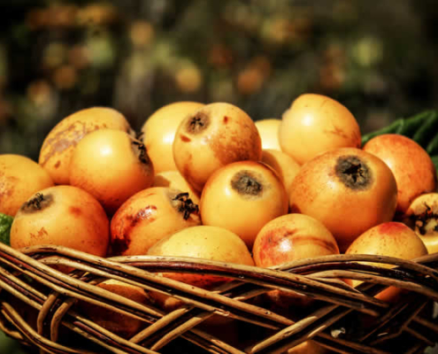 Festival del Níspero de Lunahuaná – Hommage an eine goldene Frucht