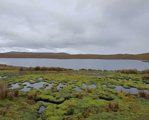 Laguna de Tuctubamba – Laguna altoandina entre la Cordillera Blanca y las Pampas
