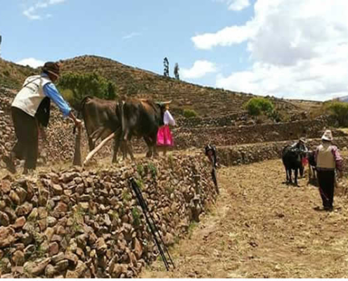 Pata Tarpuy Raymi – Fest der Aussaat in den Andenerías von Andamarca