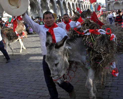 Traditionelle Entrada de Ccapo – Ancestrales Ritual in Cayma