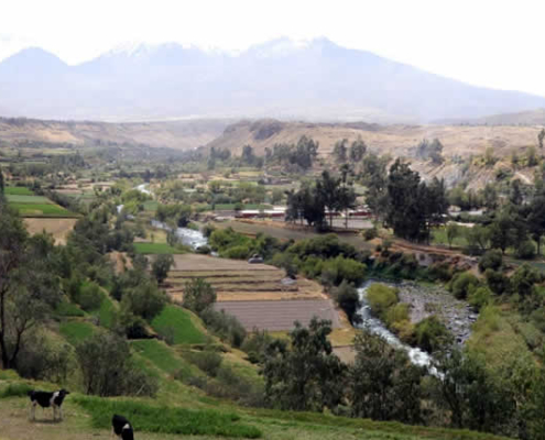 Valle de Chilina – Das grüne Herz von Arequipa