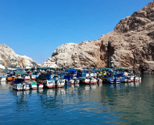 Bucht von Quilca: Historischer Hafen und Naturparadies an der Pazifikküste von Arequipa