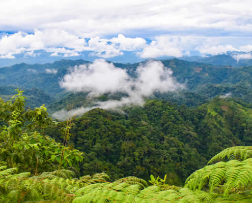 Mirador Junín Libertad – Panoramaaussicht über die Selva del VRAEM