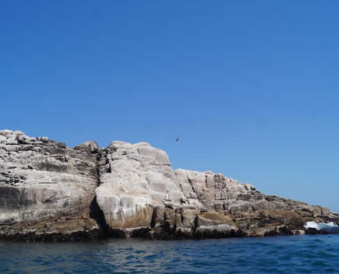 Punta Hornillos: Wildes Naturparadies bei Quilca