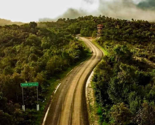 Área de Conservación Ambiental Bosque de Sho’llet – Nebelwald zwischen Oxapampa und Villa Rica