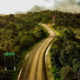 Área de Conservación Ambiental Bosque de Sho’llet – Bosque nuboso entre Oxapampa y Villa Rica