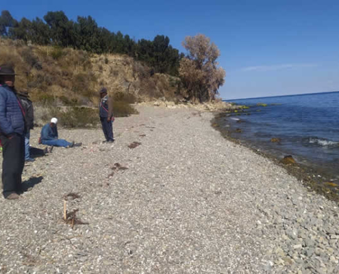 Isla Soto: Andines Inselheiligtum bei Conima im Titicacasee
