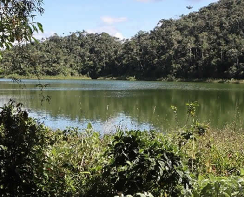 Laguna Consuelo – Verborgene Regenwaldlagune bei San Pedro de Putina Punco