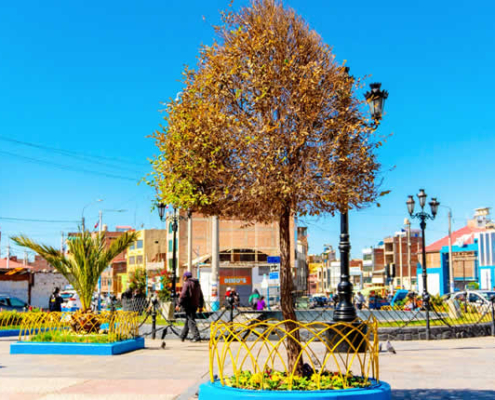 Parque de la Cultura in Puno – Wasser, Kunst und Andenkultur im Herzen der Stadt