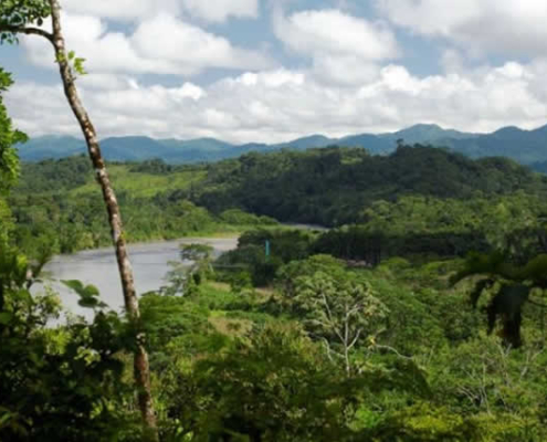 Nationalpark Bahuaja Sonene – Unberührter Regenwald zwischen Anden und Amazonas