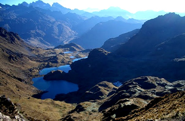 Lares Tal