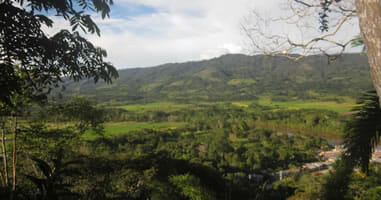Moyobamba