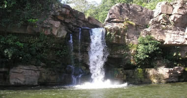Moyobamba Catarata de Lahuarpía