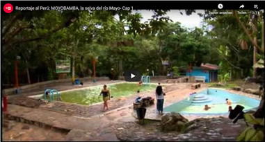 Videos