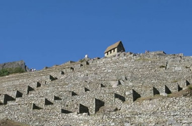 Wachposten in Machu Picchu