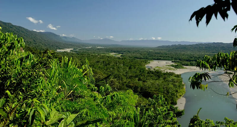 Manu National Park