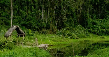 Manu Nationalpark