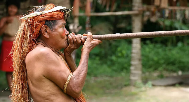 Yahua Blowgun Amazon Iquitos Peru