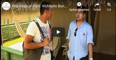 Videos 