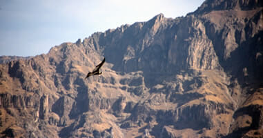Der Colca Canyon Reiseziele im Colca Tal