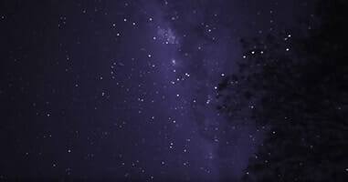 Cielo estrellado en el Parque Nacional de Tambopata