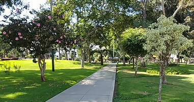 Parque Alvarino