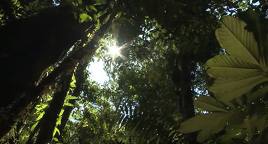 Videos Ese Ejja Peru