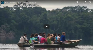 Videos Tambopata