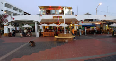 El Ancla in Paracas