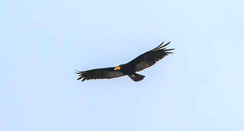 Reiseziele in Peru