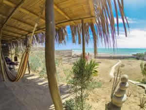 Lobitos Surf House 