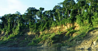 Manu Riverbank