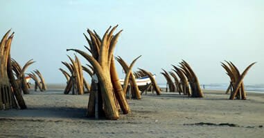 Totoras in Chiclayo